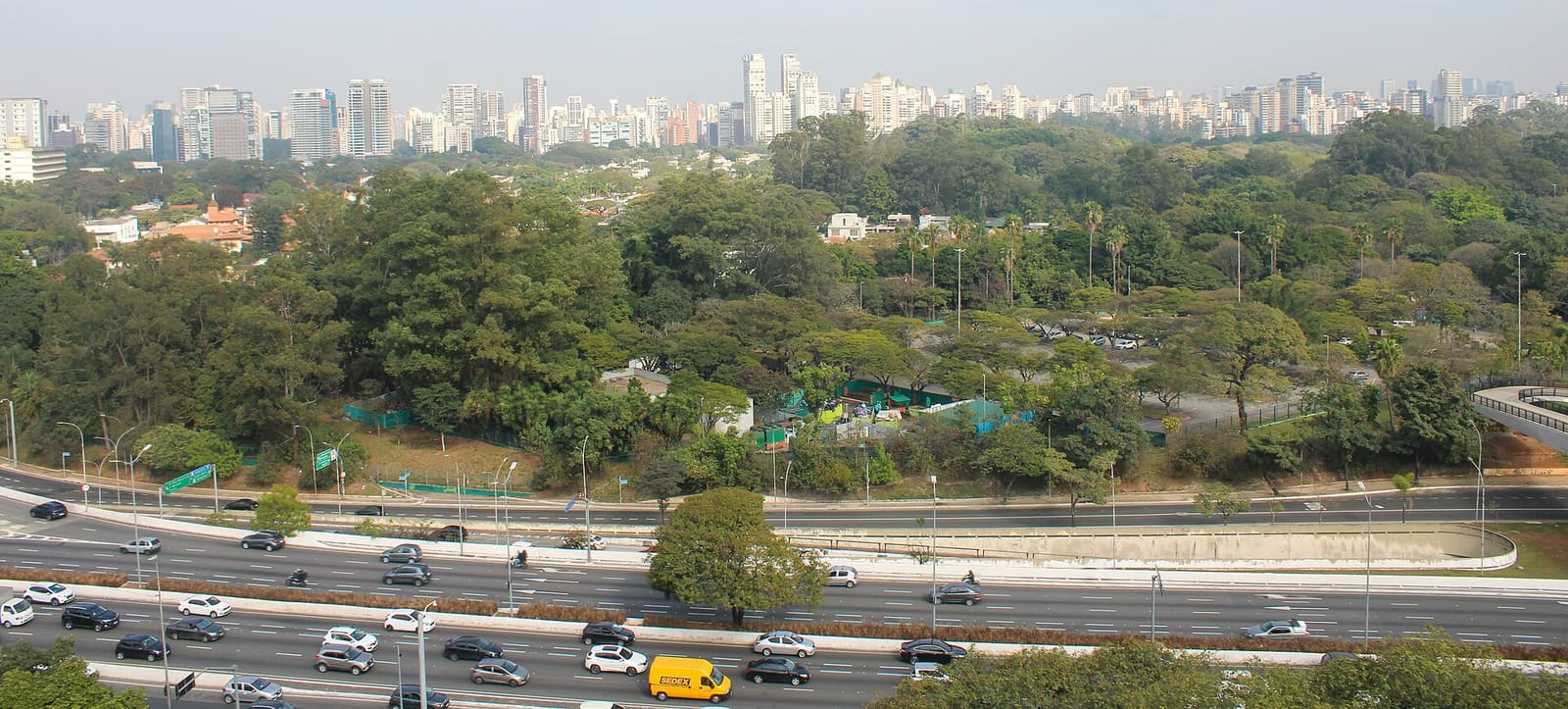 O verde do Parque Ibirapuera com os prédios da cidade ao fundo